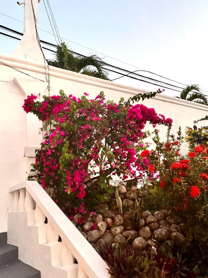 The Villa At Pineapple Cove Boscobel Kültér fotó